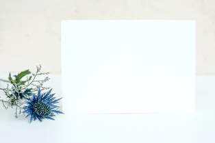 Правда ли, что у некоторых людей отсутствует воображение?