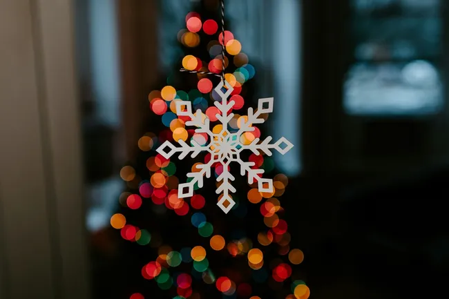 В сети набирают популярность елки-половинки: новогодний тренд покоряет россиян своей практичностью