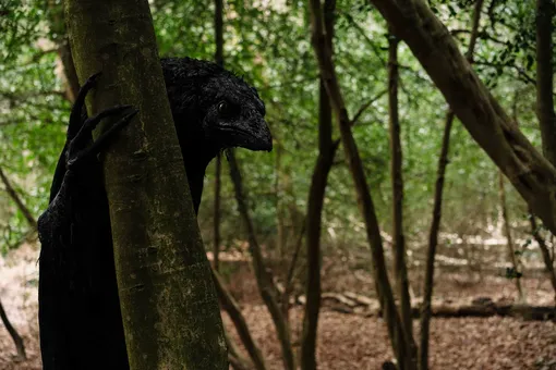 Для съемок Ворону создали специальный костюм