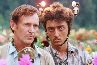 Кем бы вы были на планете Плюк: тест по цветовой дифференциации штанов