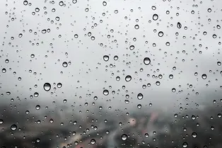 В городах Центральной России ожидается дождливый август — синоптик В городах Центральной России ожидается дождливый август — синоптик