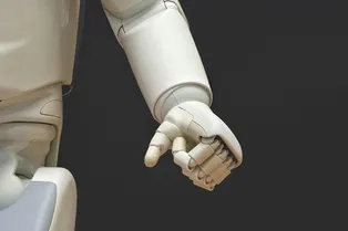 Настоящий киберпанк: в США организовали бойцовский клуб для роботов