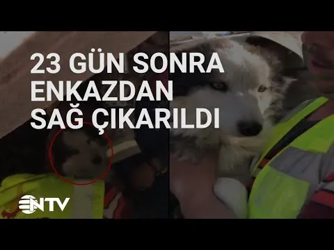 Нажми и смотри