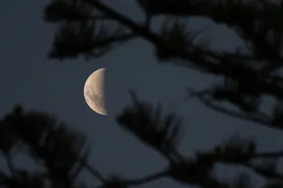 Отмена тревоги: NASA уточнило орбиту астероида 2024 YR4, который мог врезаться в Луну