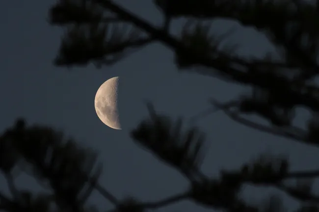 Отмена тревоги: NASA уточнило орбиту астероида 2024 YR4, который мог врезаться в Луну