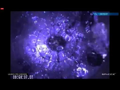 Нажми и смотри