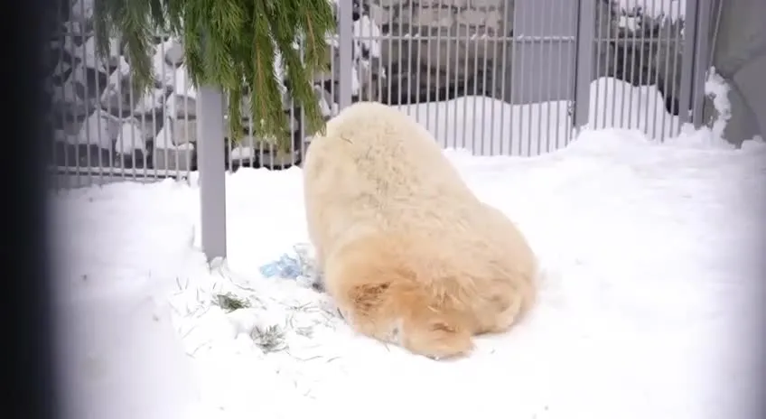 Нажми и смотри