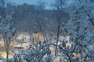 Метель, отмена рейсов, пробки. Москву накрыл мощный снегопад — сколько он продлится?