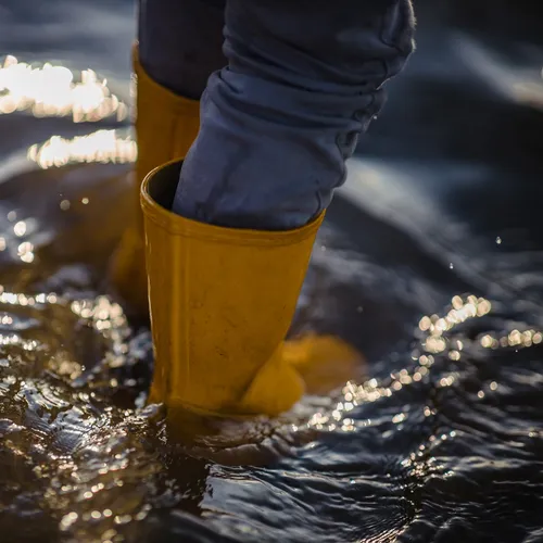 Европе обещали рост экстремальных наводнений: в это время остальной мир будет задыхаться от засухи