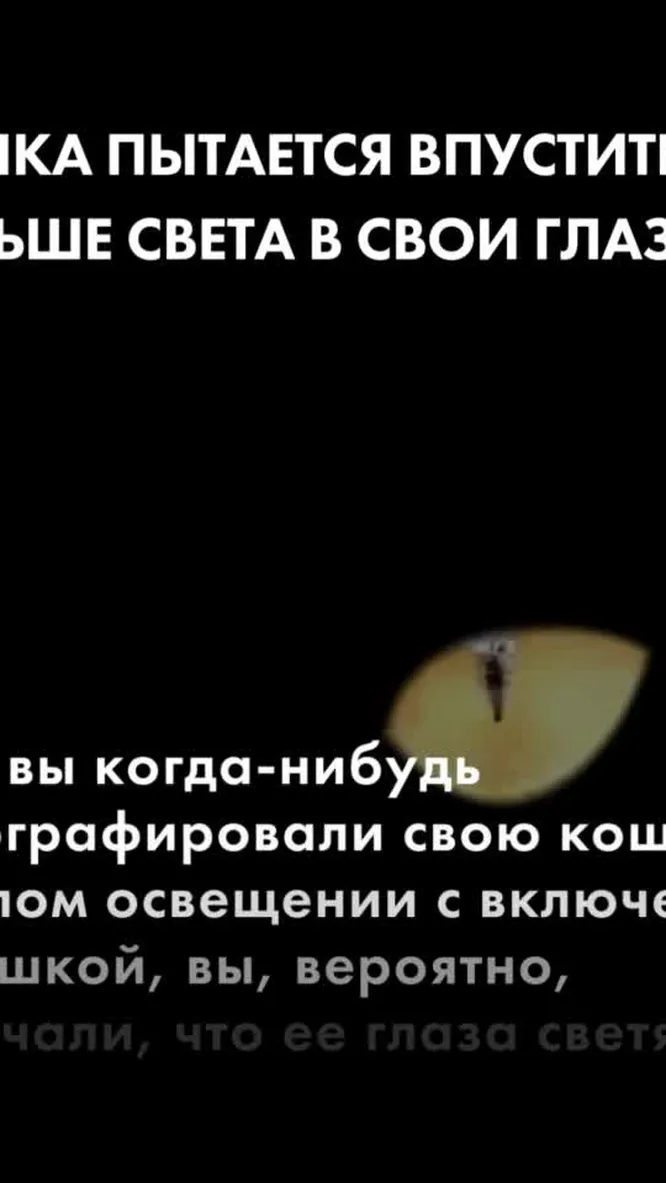 Нажми и смотри