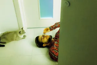 Кошки оказались опасны для психики мужчин — и вот в чем причина Кошки оказались опасны для психики мужчин — и вот в чем причина