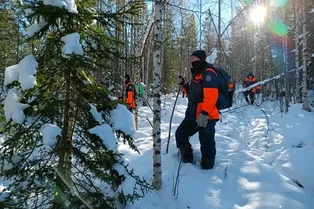 «Вели себя замкнуто, оглядывались по сторонам»: в Таиланде заметили людей, удивительно похожих на Усольцевых