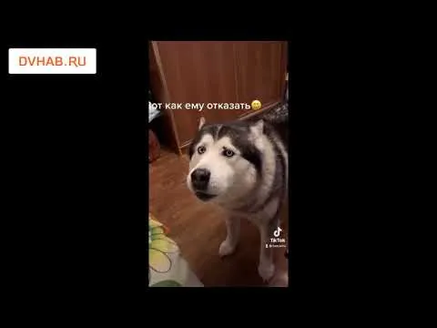 Нажми и смотри