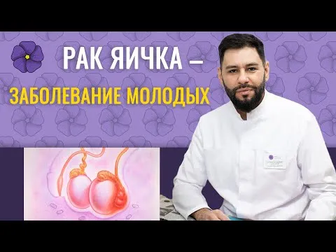 Нажми и смотри