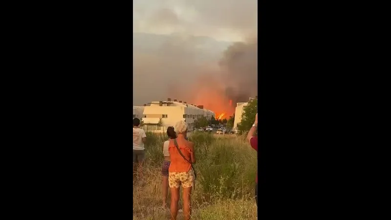 Нажми и смотри
