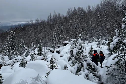Новая зацепка в деле Усольцевых: в машине семьи нашли загадочный тайник