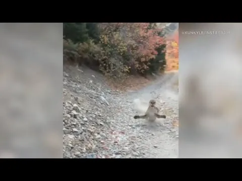Нажми и смотри Нажми и смотри