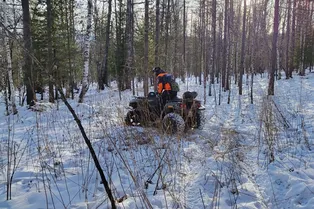 Новый перевал Дятлова. Сын Усольцевых объяснил, почему его семью не могут найти в тайге