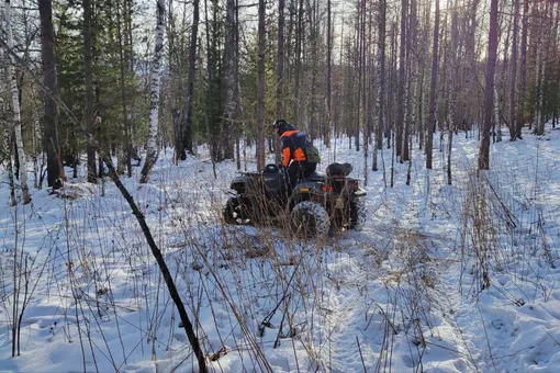 Новый перевал Дятлова. Сын Усольцевых объяснил, почему его семью не могут найти в тайге