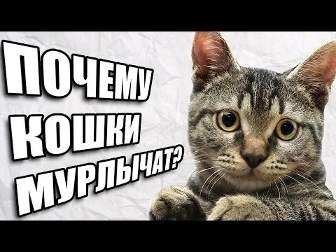 Нажми и смотри