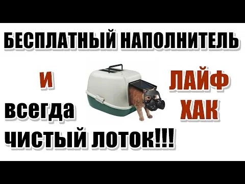 Нажми и смотри