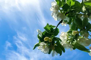 От нуля до плюс 30: синоптики предсказали очень странный май