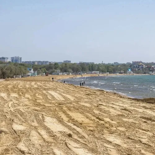 «Рай на пляже»: экологи раскрыли реальную ситуацию в Туапсе после разлива нефти