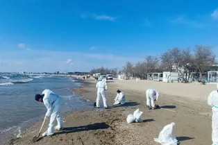 Отдых отменяется? У берегов Анапы снова разлилась нефть: что происходит на местных пляжах