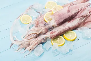 Как выбрать, почистить и приготовить нежнейшего кальмара Как выбрать, почистить и приготовить нежнейшего кальмара