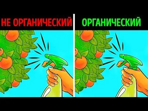 Нажми и смотри
