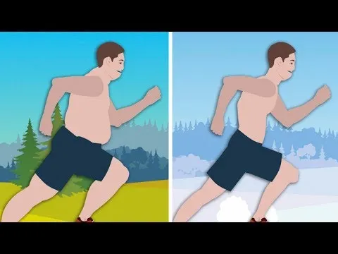 Нажми и смотри Нажми и смотри