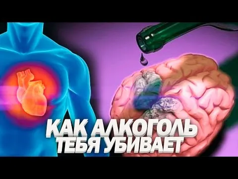 Нажми и смотри
