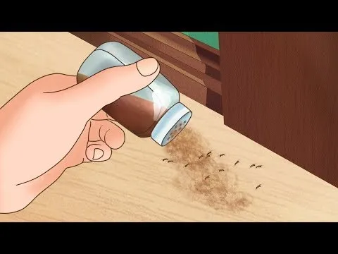 Нажми и смотри