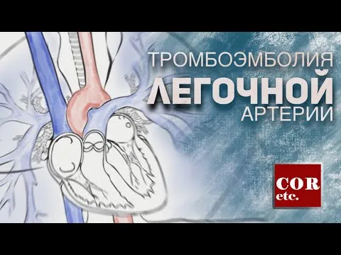 Нажми и смотри