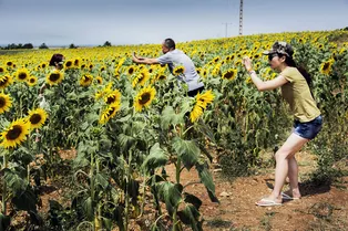 Что такое глупость с точки зрения науки?