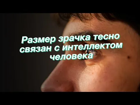 Нажми и смотри