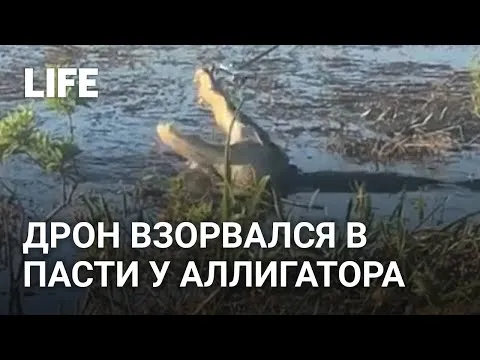 Нажми и смотри Нажми и смотри