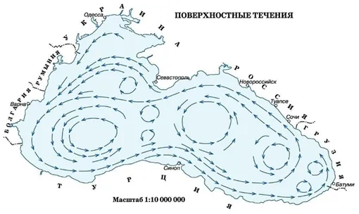 Схема движения водных масс в акватории Черного моря
