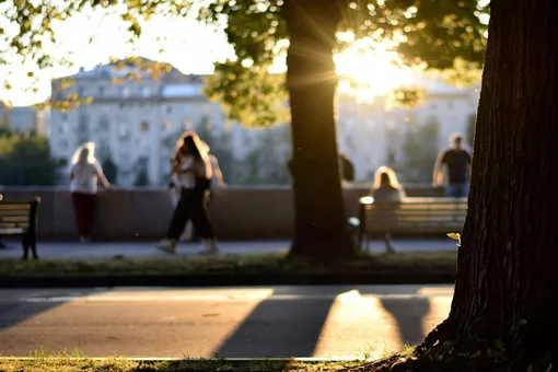 Рекордное тепло уйдет, но легче не станет: москвичей ждут новые погодные аномалии Рекордное тепло уйдет, но легче не станет: москвичей ждут новые погодные аномалии