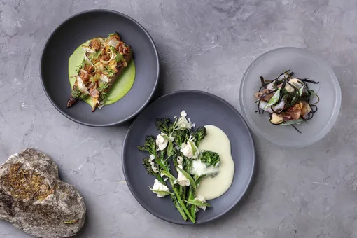 Стартовал второй всероссийский Фестиваль устойчивой гастрономии О2 Стартовал второй всероссийский Фестиваль устойчивой гастрономии О2