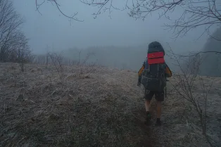 Семья Усольцевых — не первая: что известно о мужчине, который пропал в том же лесу 6 лет назад