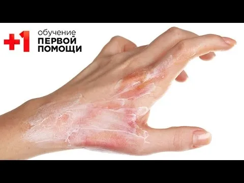 Нажми и смотри Нажми и смотри