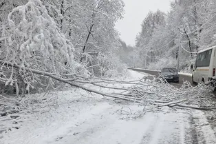Снегопады в Москве поставят новый рекорд: погода и магнитные бури 28 апреля