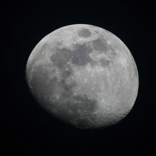 Американский стартап построит самый дорогой отель в мире. За бронь номера придется заплатить миллион долларов