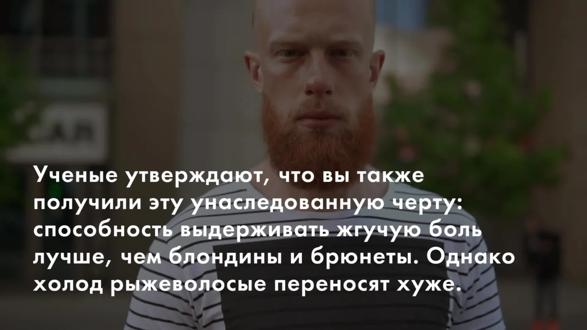 Нажми и смотри