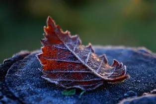 Землю будет «лихорадить»: погода и магнитные бури в Москве 20 ноября