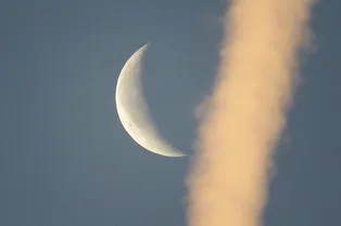 Меркурий, Венера, Юпитер и Луна устроили парад планет 19 августа: его смогли увидеть даже москвичи