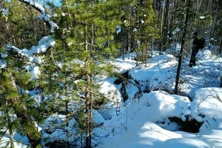 В деле Усольцевых заметили странность: почему поиски семьи не дают результатов
