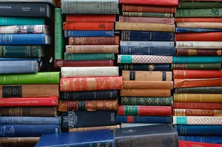 Россияне больше не думают о бизнесе и финансовом благополучии: спрос на книги о политологии рекордно вырос Россияне больше не думают о бизнесе и финансовом благополучии: спрос на книги о политологии рекордно вырос