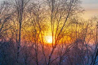 Солнце обновило рекорд XXI века по числу сильных вспышек: что происходит со звездой